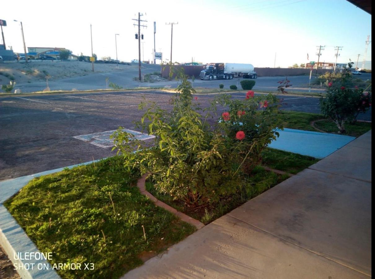 Willcox Extended Residence Inn And Suites Exteriér fotografie